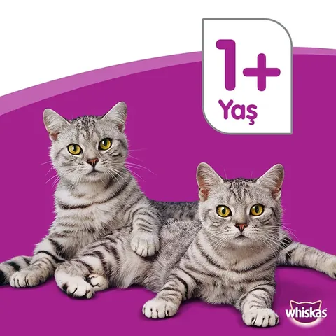 Whiskas Canned Chicken Cat Wet Food 400 gr