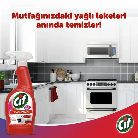Cif Fleckenexperte Spray 750ml
