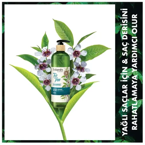 Naturals By Watsons Shampoo Tea Tree 490 ml