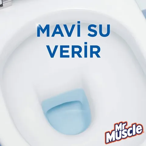 Mr. Muscle Aqua Blue WC-Reiniger 2er-Pack