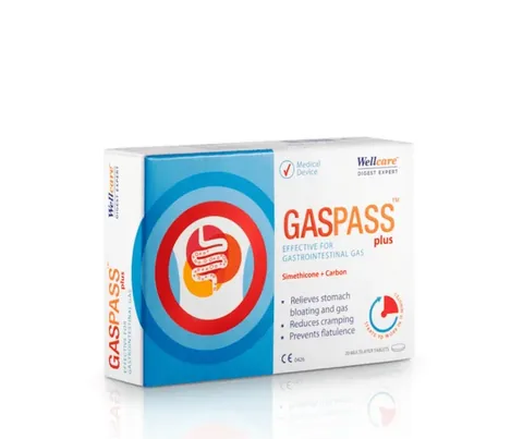 Wellcare Gaspass Plus 20 Tablet