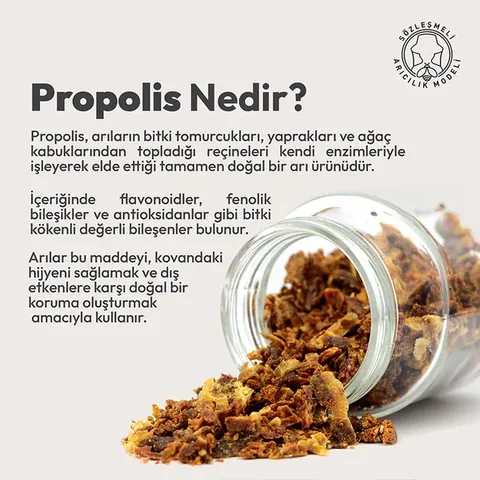 BEEO Water Soluble Propolis Drops 5-Pack