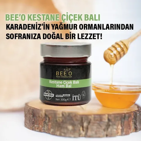 BEEO Chestnut Flower Honey (Raw Honey) 300 gr