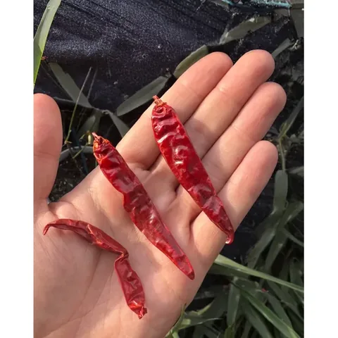 Çokacıolmuş Pul Biber Cayenne Pepper 15g