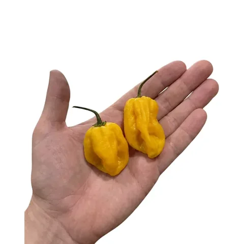 Çokacıolmuş Hot Salt Habanero Yellow 140g