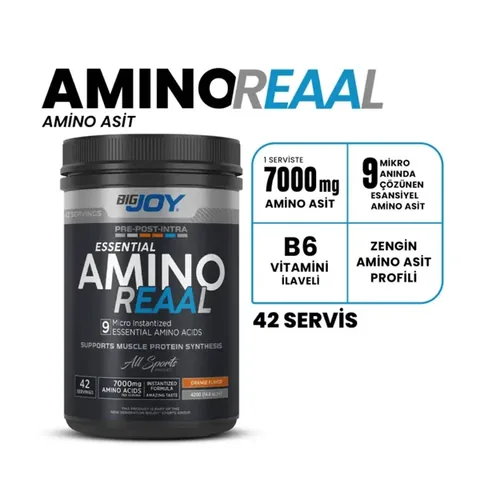 BİGJOY Amino Reaal Portakal 420g