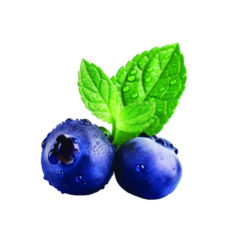 Shot Mouth Wash Berry Flavor 20 pcs 15 ml