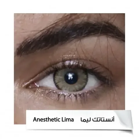 Anastasia 6-Month Lenses A.LIMA