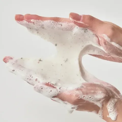 Deep Cleansing Foam for Pores with Quercetinol for Skin by Anwa Birch 150 ml