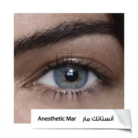 Anastasia 6-Month Contact Lenses A.MAR